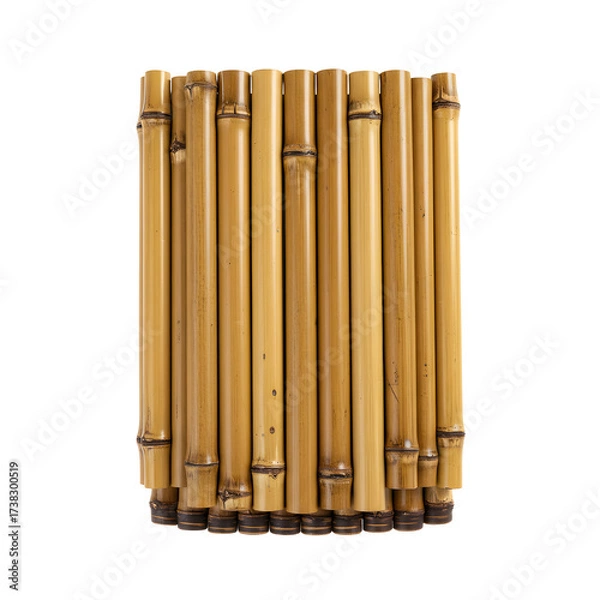 Obraz Rectangular bamboo arrangement showing nodes and end cuts set on white or transparent background