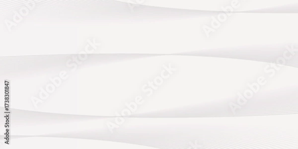 Fototapeta abstract white background wave gradient shape luxury wallpaper line smooth