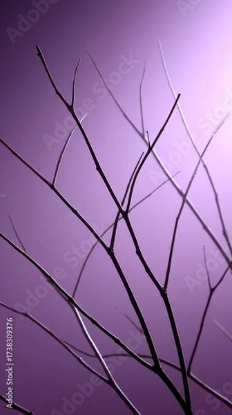 Fototapeta Bare branches silhouetted against a soft purple gradient background, creating a minimalistic and serene composition.