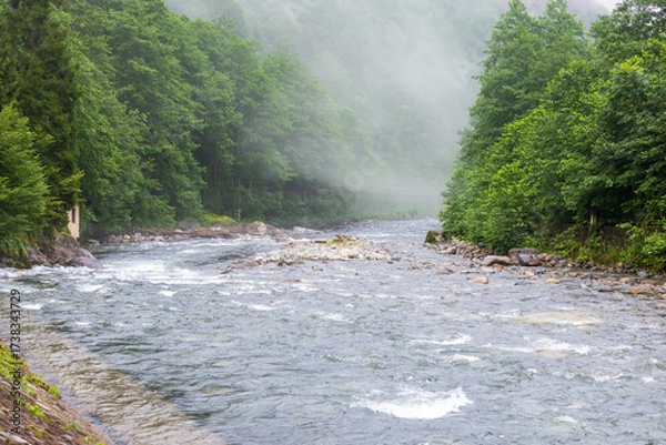 Fototapeta Fast mountain river and whitewater through forest Firtina Valley, Camlıhemsin, Rize, Turkey