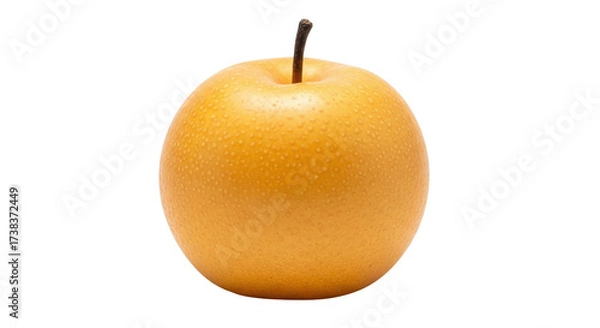 Fototapeta Isolated Asian pear fruit still life with stem, close-up view of a fresh yellow pear