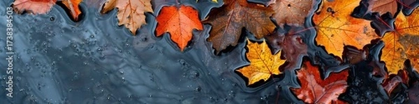 Fototapeta autumn leaves on wet asphalt.