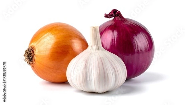 Obraz A studio shot of three fresh allium vegetables on a pure white background, one garlic and two onions with different colors