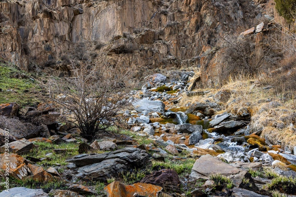 Fototapeta Serene stream flowing through rocky terrain in mountainous region of Kyrgyzstan at sringtime