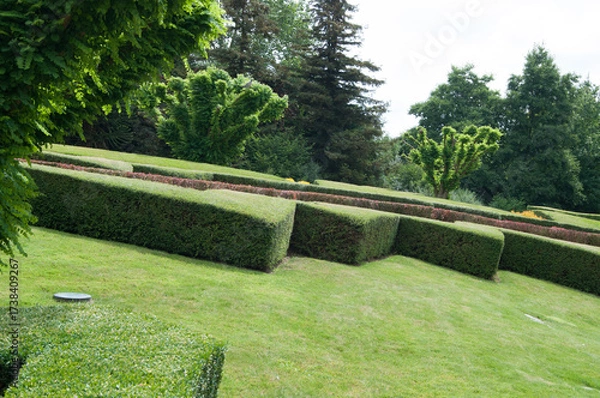 Obraz stone path in the garden