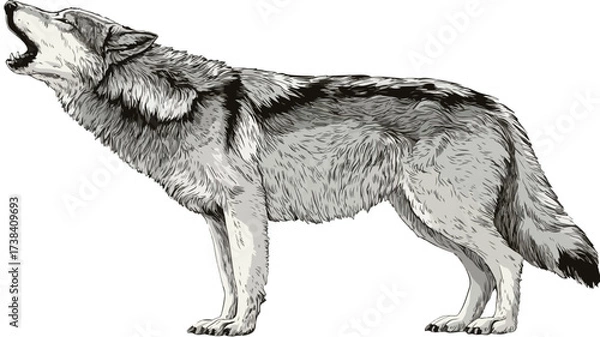 Fototapeta Wild Howling Wolf Dog Full Body Design Vector Illustration