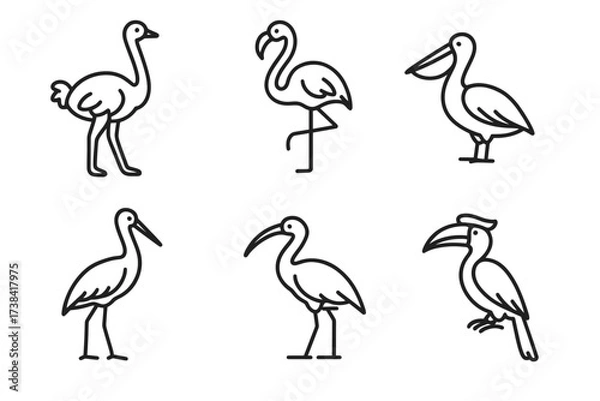 Fototapeta Outline illustrations of various birds including flamingo and pelican