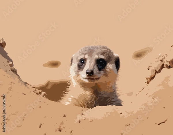 Fototapeta Meerkat Vector Images. Natural habitat of a cute meerkat peeking out of its burrow image vector.