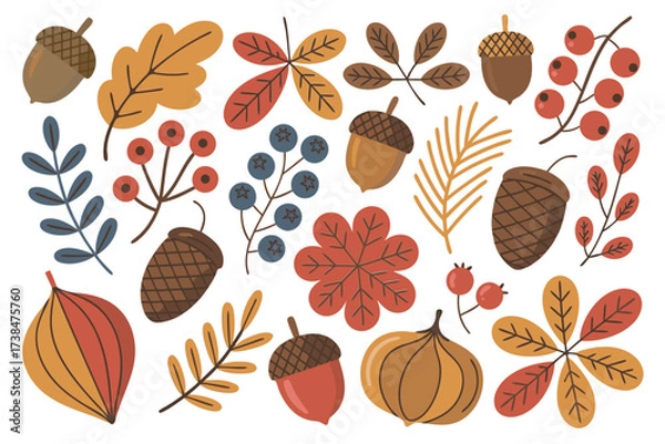 Obraz 가을 분위기가 있는 단풍잎과 열매, 도토리, 솔방울, 낙옆 일러스트, 이미지
