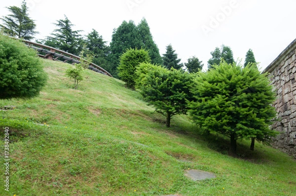 Obraz path in the garden