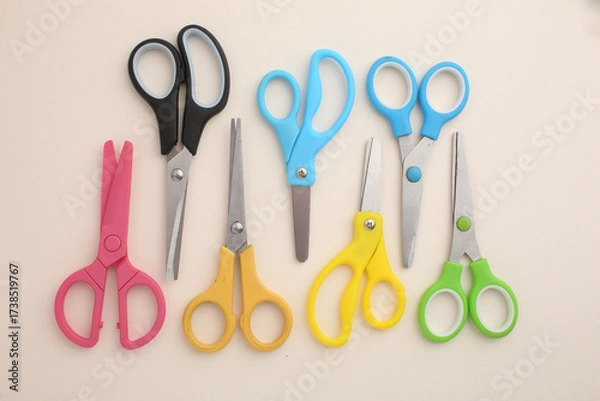 Fototapeta Different scissors Concept of school and college learning
