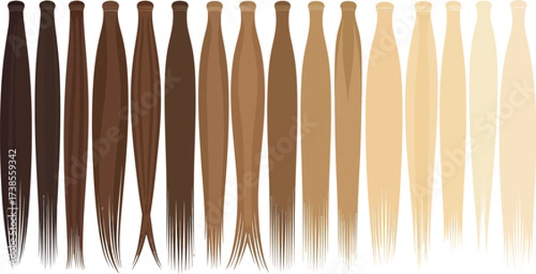 Fototapeta Vector art of hair color chart showing different shades of brown and blonde