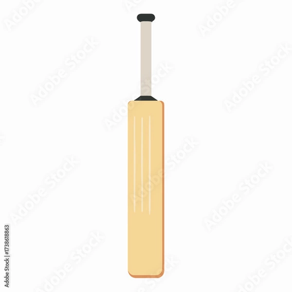 Fototapeta Cricket bat flat vector icon design