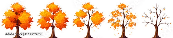 Fototapeta Autumn deciduous trees isolated on a white background. Trees with falling leaves and a bare tree. Set of vector illustrations