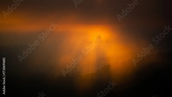 Fototapeta Golden sun rays breaking through atmospheric fog, illuminating a dense forest canopy during an early morning sunrise, creating a serene and mystical woodland scene