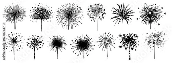 Fototapeta Black And White Dandelion Seed Heads On White Background Abstract Composition