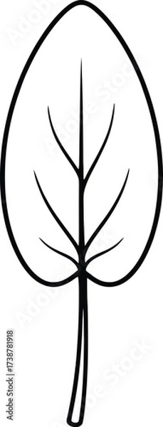Fototapeta Simple Black and White Outline Drawing of a Single Leaf with Veins plant nature