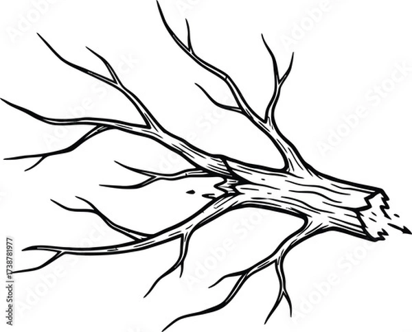 Fototapeta Black and White Illustration of a Broken Tree Branch with Exposed Wood Grain texture