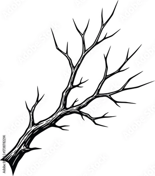 Fototapeta Stylized black and white illustration of a bare tree branch with sharp, angular twigs silhouette outline
