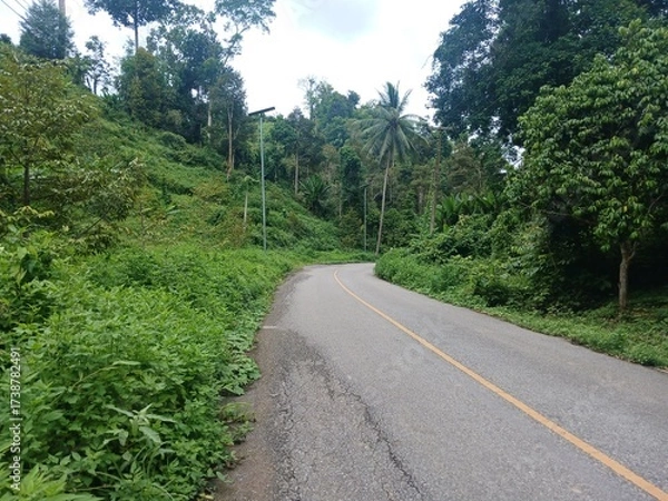 Obraz road in the mountains