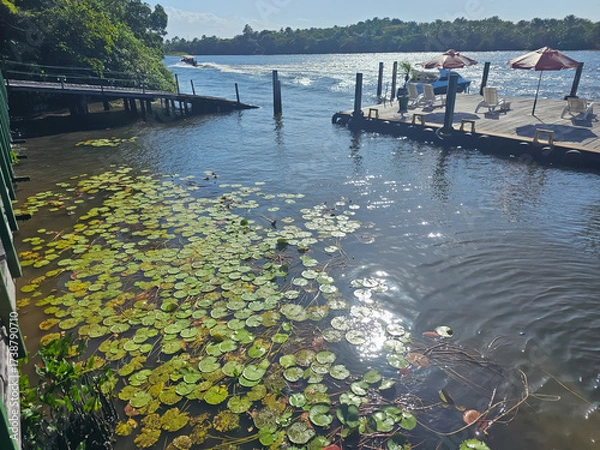 Obraz boats on the river