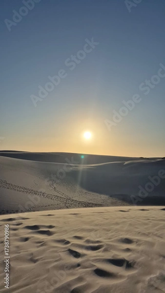 Obraz sunset on the beach