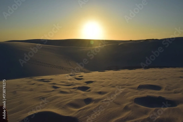 Obraz sunset in the desert