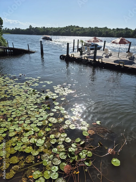 Obraz boats on the beach