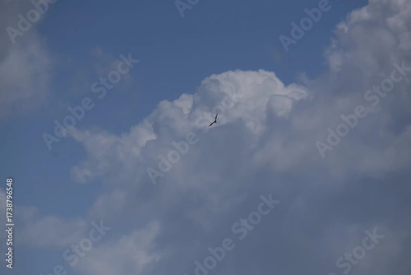 Obraz clouds in the sky