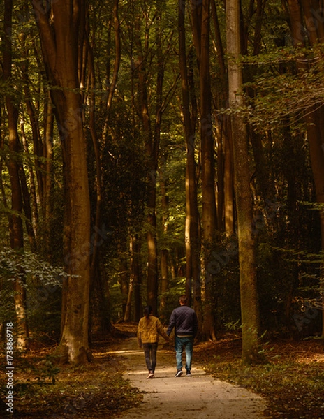 Fototapeta Couple walks along a peaceful trail surrounded by tall trees in Speulderbos, Veluwe. The golden hues of autumn create a warm and inviting atmosphere, perfect for a romantic outing in nature.