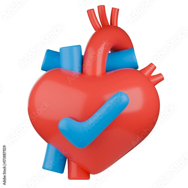 Fototapeta 3D medical illustration of a human heart with blue checkmark symbol on it, represents cardiac health, a successful heart checkup, cardiology and heart disease prevention.