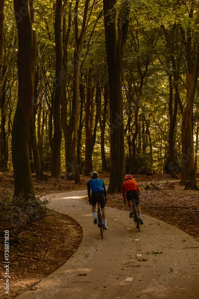 Fototapeta Two cyclists navigate a winding path in the tranquil Speulderbos forest during autumn. The vibrant colors of the changing leaves create a picturesque backdrop, ideal for outdoor enthusiasts.