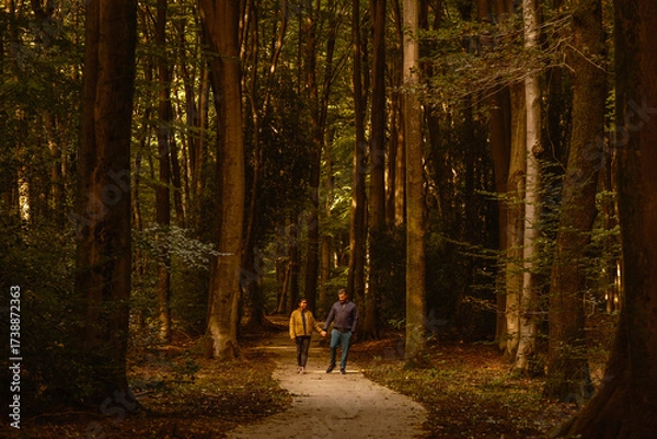 Fototapeta In the heart of Veluwe, a couple strolls through the serene, leafy paths of Speulderbos. Autumn leaves create a magical atmosphere as they enjoy natures beauty together in the Netherlands