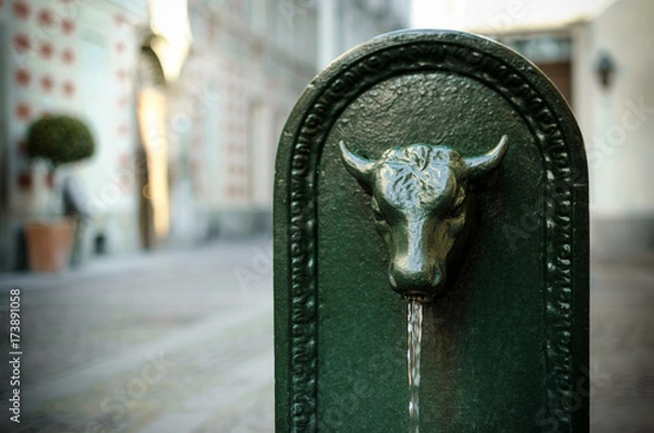 Fototapeta Toret, typical public fountain of Turin (Italy). There are almost 800 "toret" in the city, all made of cast iron and with bull shape in late XIX century