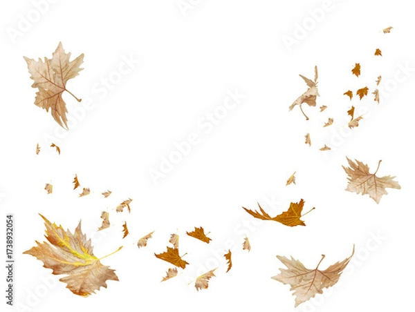 Fototapeta autumn background from falling leaves - 3d rendering