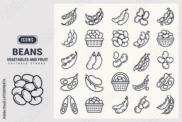 Fototapeta Collection of Different Bean Types and Legumes Illustrated as Icons White Background.
