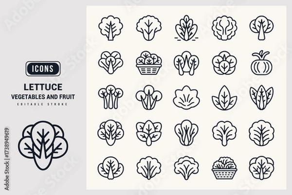 Fototapeta Collection of Lettuce Vegetable Fruit Icons Featuring Various Leafy Greens and Produce Illustrations White Background.