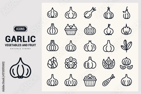 Fototapeta Collection of Garlic Icons and Illustrations Vector Art White Background.