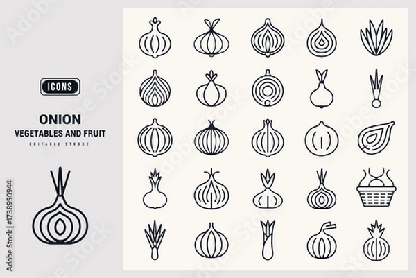 Fototapeta Collection of Various Onion Icons Vegetable and Fruit Illustrations Fresh Produce Design Elements White Background.