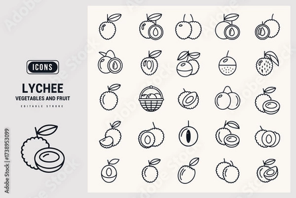 Fototapeta Lychee Fruit and Related Produce Vector Icon Set Collection White Background.