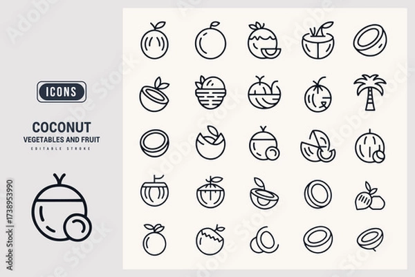 Fototapeta A Collection of Fresh Tropical Coconut Fruit Vector Icons White Background.
