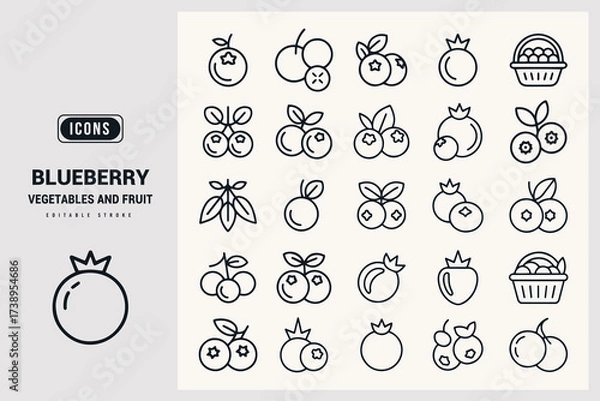 Fototapeta Collection of Simple Outline Blueberry Icons and Fruit Illustrations White Background.