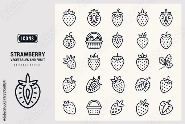 Fototapeta Collection of Strawberry Icons Vector Art and Illustrations for Design Projects White Background.