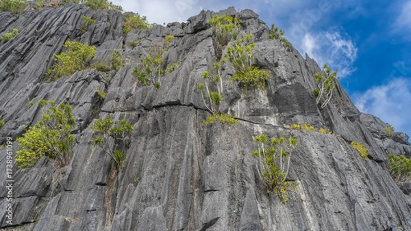 Fototapeta A high sheer cliff against a background of blue sky and clouds. There is scant green tropical vegetation on the steep, furrowed slopes. Philippines. Palawan.