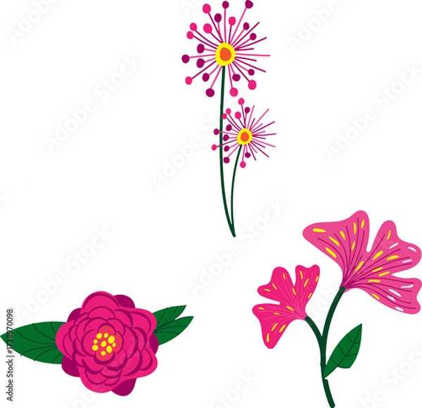 Obraz the most beautiful flowers  vector