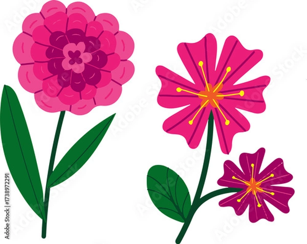 Obraz the most beautiful flowers  vector
