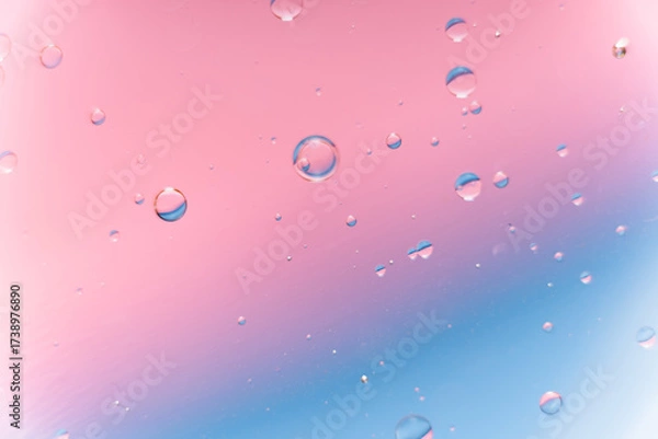 Fototapeta Pink and Blue Gradient Background with Floating Water Bubbles