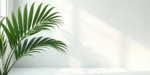Fototapeta Serene Minimalist Interior with Lush Greenery and Sunlight Streaming Through a Window