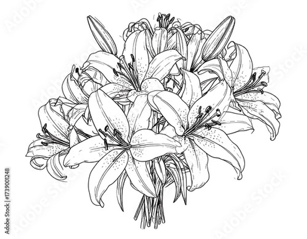 Obraz Elegant Black and White Line Art Illustration of a Bouquet of Lilies