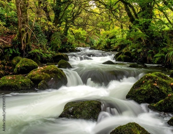 Fototapeta Forest stream flow